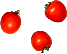 Tomatos